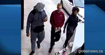 Kingston, Ont. police arrest man in Toronto in connection with double homicide