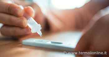 Termoli, Isernia, Campobasso: Covid: nel Molise 175 contagi e 685 guariti - Termoli Online