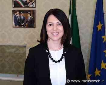 CAMPOBASSO, FELICE RISPONDE A CHIERCHIA: "SEMPLIFICATE RICHIESTE DI INSTALLAZIONE DEI DEHORS PER SUPPORTARE ECONOMIA CITTADINA&RDQUO - Molise Web