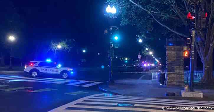 Shots Fired on National Mall Near White House, 3 People Taken Into Custody
