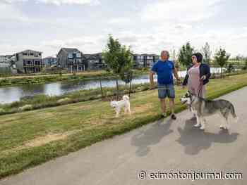 Trumpeter by Big Lake comes calling: dream home next to nature