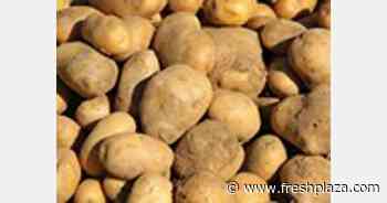 'US growers receive 15 to 18 percent of retail price for fresh potatoes' - FreshPlaza.com