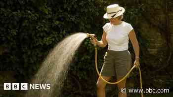 Police do not want reports of hosepipe ban breaches - BBC