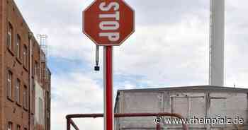 Ideal kurz vorm Ende, Seniorenholz und Eisenstangen im Gelterswoog– Kaiserslautern kompakt - Kaiserslautern - Rheinpfalz.de