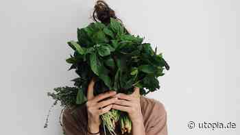 Werbung in UK Verboten: "Unnötige Belastung bei Zuschauer:innen" - Utopia