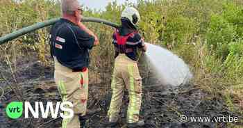 Grote bermbrand langs Brusselse Ring in Anderlecht, brandweer zet blushelikopter in - VRT NWS