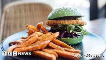 Doctor urges Lancaster City Council to only use plant-based foods