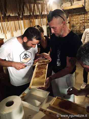 “Api al Centro”, prima smielatura tra le mura storiche di Foligno - Rgunotizie.it