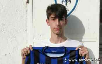 NUOVA RISORSA IN DIFESA - La Vis Foligno annuncia il giovane Nieri - Settecalcio