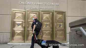 Crown calls for harsh sentence in Alberta-based Ponzi scheme fraud - Lethbridge News Now