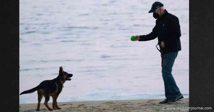 Biden Sticks Taxpayers with a Large Bill to Build a Fence Around His Beach House