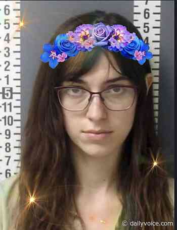 Accused Nancy Pelosi Laptop Thief Goes To Ren Faire: Reports - Daily Voice