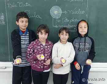 Estudo das células em Imbituva é destaque no Vamos Ler - aRede