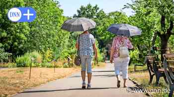 Dresden startet Aktionstag Älter werden Kompass 60+ auf der Hauptstraße - Dresdner Neueste Nachrichten