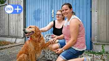 Hunde sollen Studenten in Dresden durch die Prüfungszeit helfen - Dresdner Neueste Nachrichten