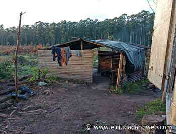 Esclavos en Paso de los Libres: rescatan a trabajadores rurales explotados en una estancia forestal - El Ciudadano & La Gente