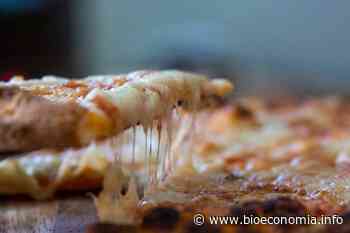 ADM Va Por El Mercado De Los Quesos Libres De Animales - BioEconomia - BioEconomia