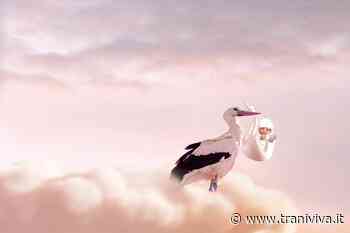 Un parto fra le mura domestiche: è nata in casa questa mattina...una piccola tranese - TraniViva