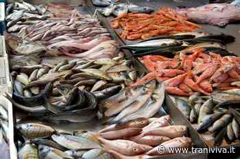 Coldiretti, stop al pesce fresco a tavola lungo tutto l'Adriatico - TraniViva