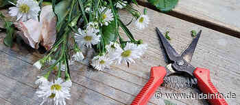 Floristik: Löhne für 130 Beschäftigte im Landkreis Fulda steigen kräftig - Fuldainfo