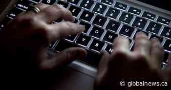 Bancroft, Ont. man arrested for child pornography following OPP investigation - Global News