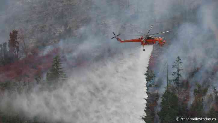 Fire approximately 1.5 hectares in size breaks out near Sasquatch Provincial Park