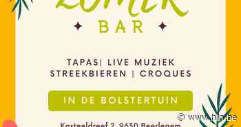 Zomerbar in vzw De Bolster - Het Laatste Nieuws