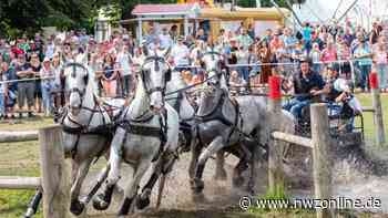 Landesturnier Rastede: Tickets sichern für Pferdesport der Extraklasse - NWZonline