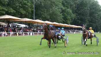 Pferdesport in Rastede: Traber zieht es auf den Turnierplatz - NWZonline