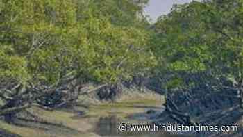 Proposed forest conservation act rules: Green groups from Himalayan states seek withdrawal - Hindustan Times