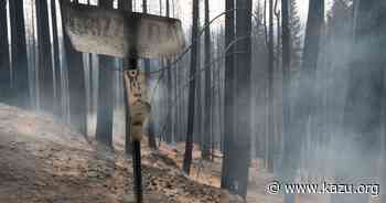 Stalled U.S. Forest Service project could have protected California town from Caldor Fire destruction - 90.3 KAZU