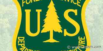 Forest Service offers target shooting safety tips - WDAM
