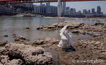 China Issues Drought Alert, Fights Forest Fires To Save Crops In Heatwave - NDTV