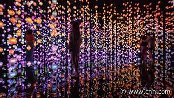 Artist Pipilotti Rist's serene 'pixel forest' explores the chaos of our digital lives - CNN