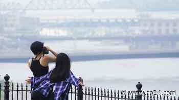 Ontario sees slow forest fire season a year after record-setting fires - CP24