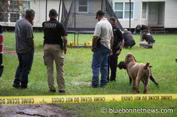Dogs find skull near Hull home - Bluebonnet News