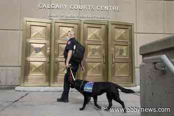 Calgary man convicted in multimillion dollar Ponzi scheme sentenced to 10 years