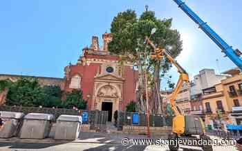 Ruzie om het kappen van een 100 jaar oude ficus-boom bij een kerk in Sevilla - SpanjeVandaag