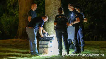 Onderzoek bij boom in Delftse moordzaak uit 1989 levert niets op - Omroep West