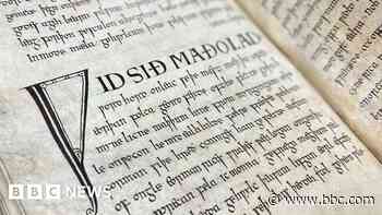 Anglo-Saxon artefacts on display at Exeter Cathedral - BBC