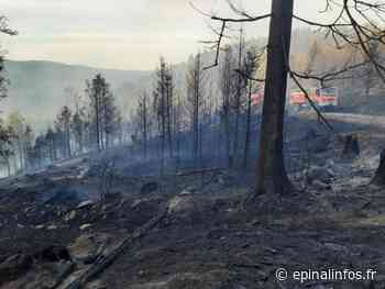 Incendies dans les Vosges : 79 départs de feu en une semaine - Epinal infos - Epinal Infos
