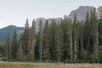 Canmore to seek purchase of section of TSMVPL-owned lands - Rocky Mountain Outlook - Bow Valley News