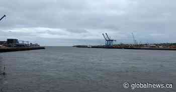 New research details state of ecosystem in Saint John, N.B. harbour - Global News
