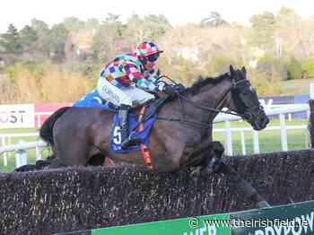 KILLARNEY SATURDAY: Clearer run can see Discordantly claim feature - The Irish Field