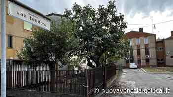 Mestre, recinti irregolari in viale San Marco: la sanatoria dopo quarant'anni - La Nuova Venezia