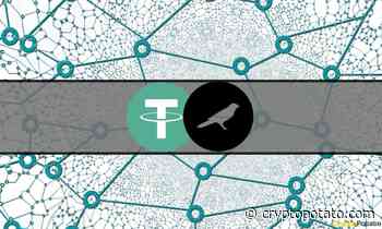 Tether Announces Launch of USDT on Kusama - CryptoPotato