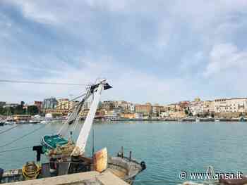 Coldiretti, fermo pesca ulteriore danno per marinerie Adriatico - Agenzia ANSA