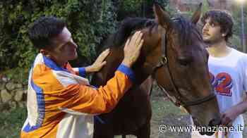 Palio, Tittia: "Battere il record di Aceto? Difficile ma non mi fermo" - LA NAZIONE