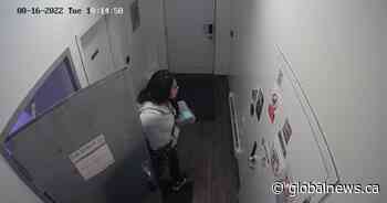 Edmonton police investigate yoga studio thefts