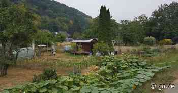 Anlagen im Überschwemmungsgebiet: Ärger um Hombacher Gärten an der Sieg in Eitorf - General-Anzeiger Bonn